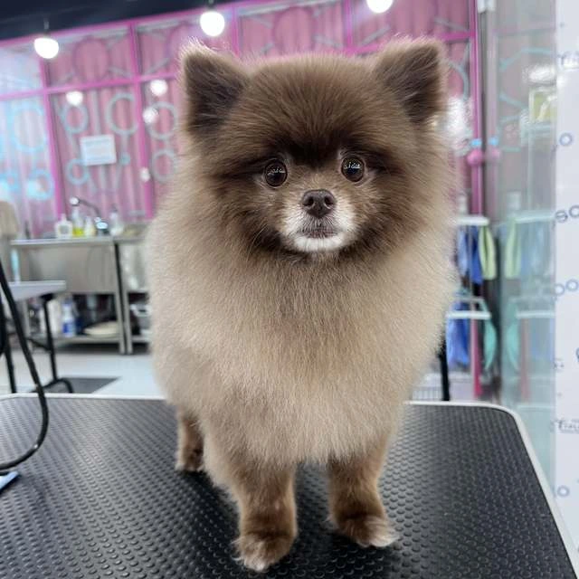 페이지 주제를 안내하는 사진 또는 브랜드 이미지