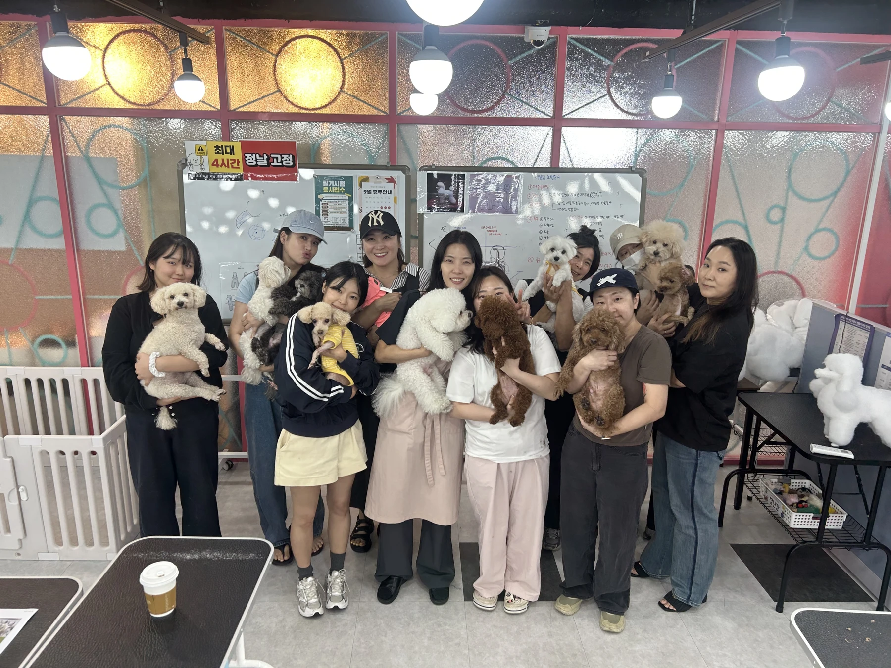 강아지와 함께 촬영한 이바우펫 특강 참여자 단체 사진