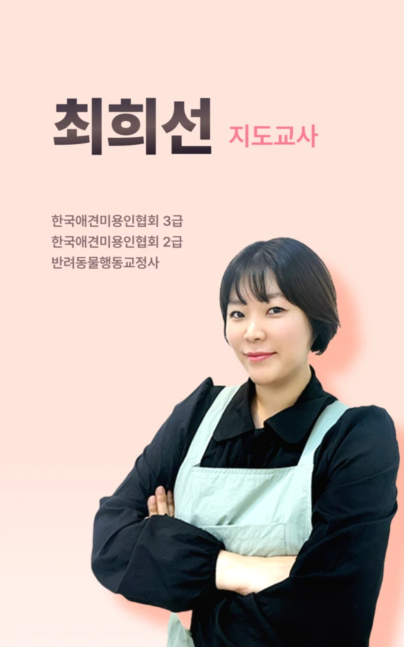 최희선 지도교사 공식 소개
