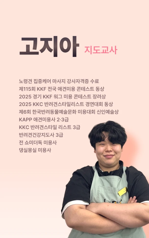 고지아 지도교사 공식 소개