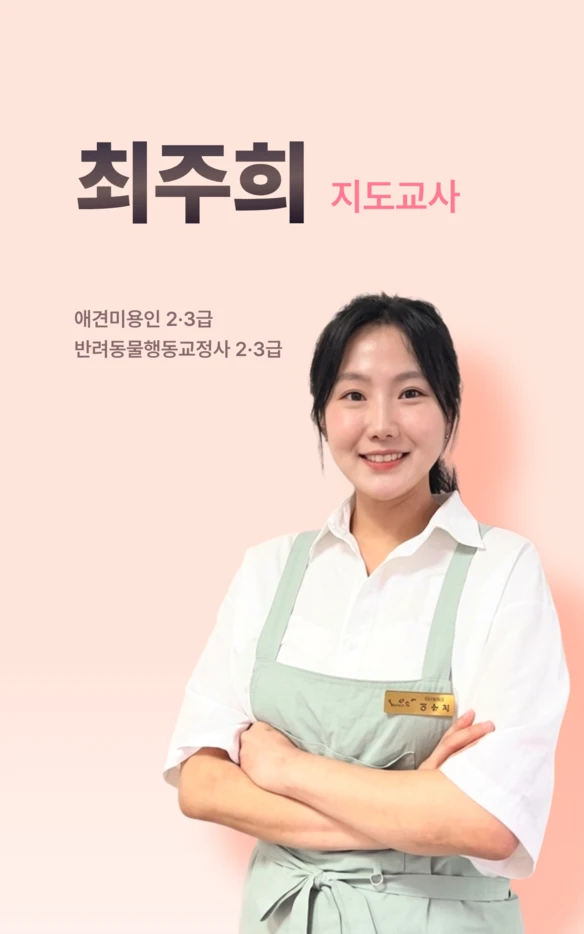 최주희 지도교사 공식 소개