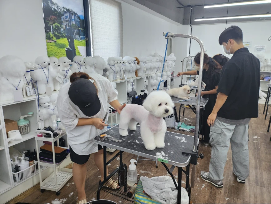 학원에서 진행한 실제 미용봉사 현장